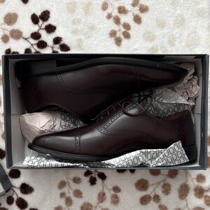 Rockport Men's Cap-Toe Oxfords in Burgundy Brown